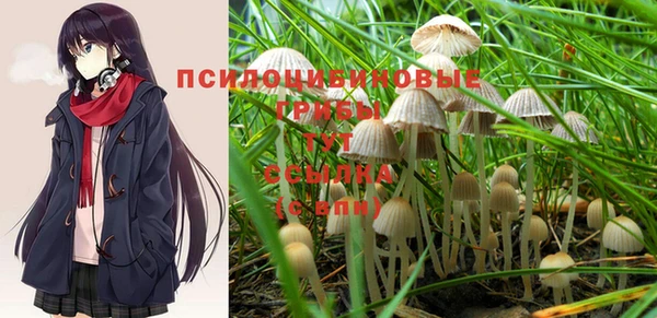 мяу мяу мука Михайлов