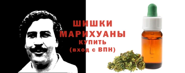 мдпв Михайловск
