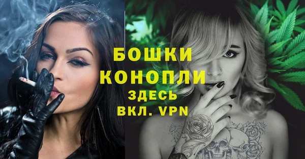 мдпв Михайловск